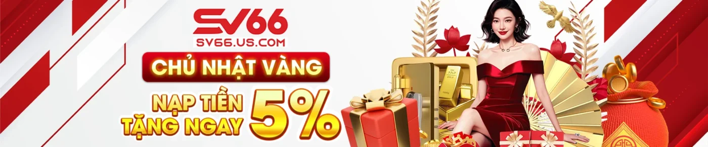 banner sv66 2