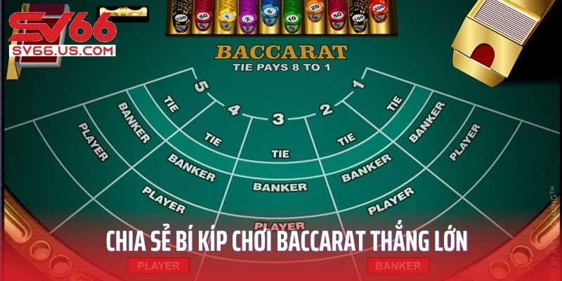 Chia sẻ bí kíp chơi baccarat tại SV66 thắng lớn