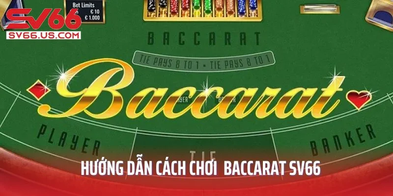 Hướng dẫn chi tiết cách chơi baccarat SV66