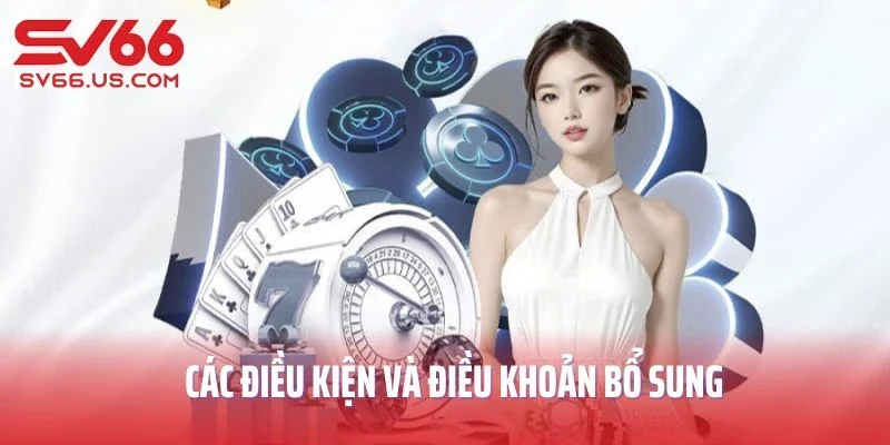 Các điều kiện và điều khoản bổ sung