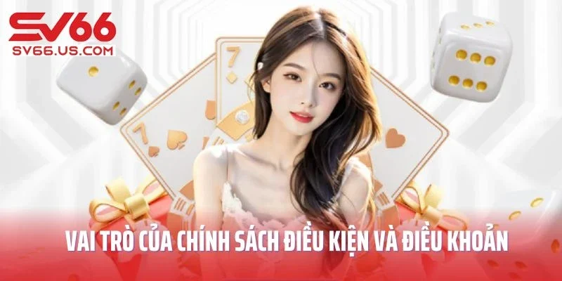 Vai trò của chính sách điều kiện và điều khoản